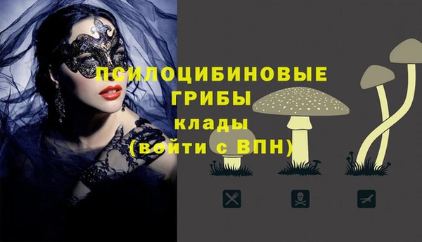 молекула духа Балахна